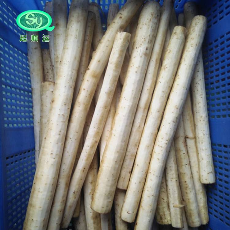 牛蒡去皮机 牛蒡去皮机