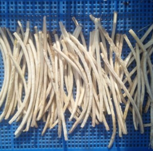 卧式牛蒡切丝机 卧式牛蒡切丝机