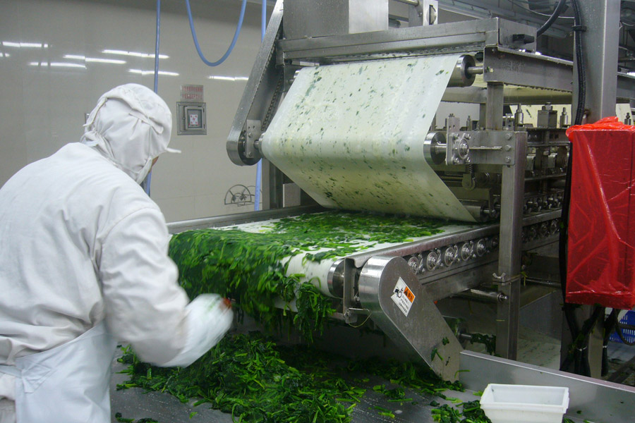 连续式脱水机 连续式脱水机