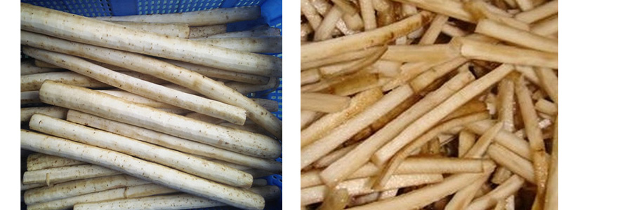 牛蒡切丝机 牛蒡切丝机