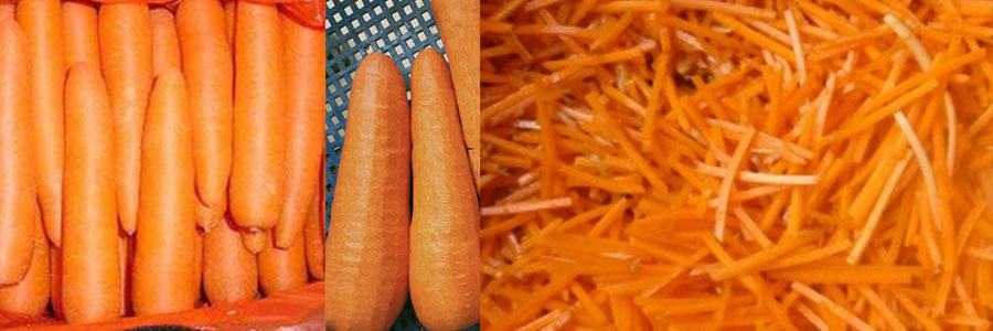 牛蒡切丝机 牛蒡切丝机