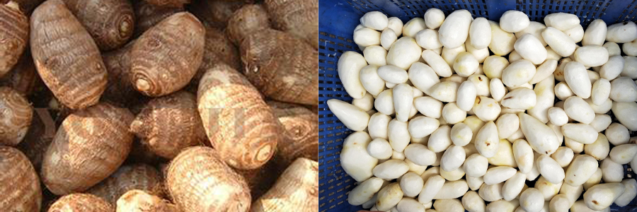 螺旋去皮机 螺旋去皮机